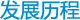发展历程
