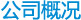 公司概况