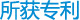 所获专利
