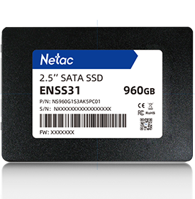 ENSS31