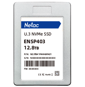 ENSP403