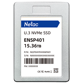 ENSP401